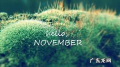 告别十月迎接十一月的唯美句子 【抖音文案】十一月唯美句子