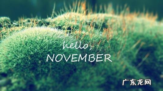 告别十月迎接十一月的唯美句子 【抖音文案】十一月唯美句子