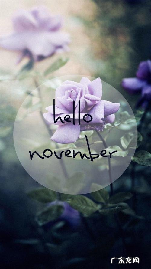 告别十月迎接十一月的唯美句子 【抖音文案】十一月唯美句子