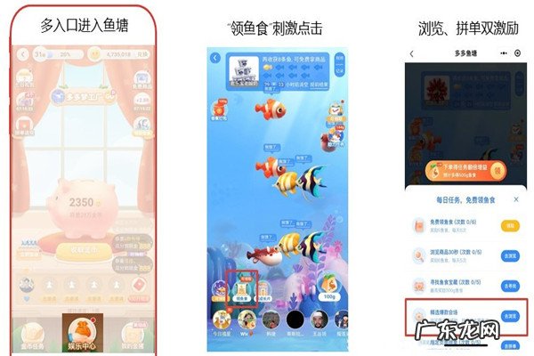 什么是拼多多CPT广告?广告资源位如何查看?
