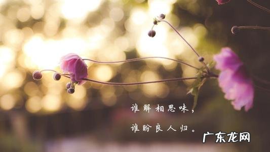 闺蜜句子唯美简短句子 【抖音文案】风景句子唯美简短句子