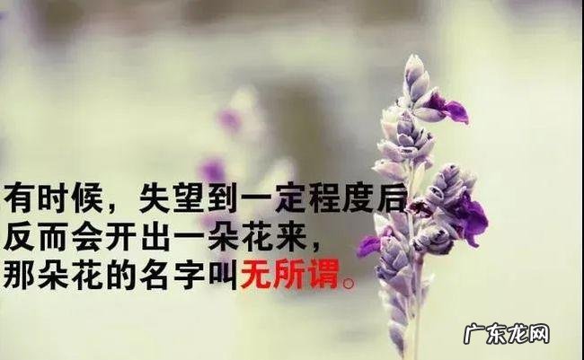 搞笑哲理句子精辟 【抖音文案】伤感哲理句子精辟