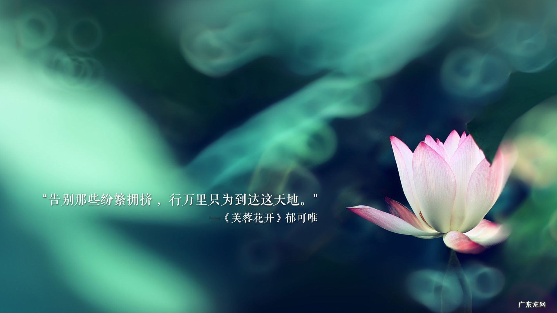 phenPro鸡尾酒减肥药:鸡尾酒有辣味的吗?什么鸡尾酒是辣的?