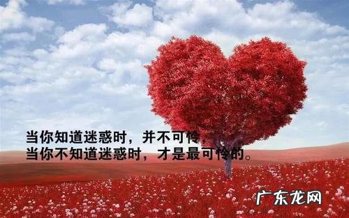值得拥有的经典的句子给男朋友 【抖音文案】关于值得的经典句子