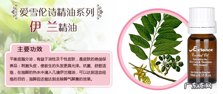 品牌理念与发展历程介绍 爱雪伦诗是品牌么