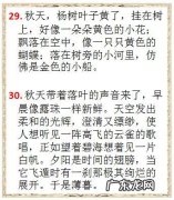 描写秋天枫叶唯美短句 【抖音文案】描写秋天的短句50字