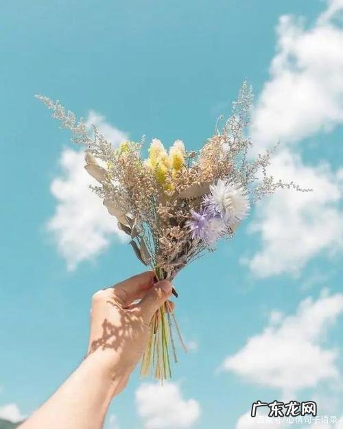 让对方看到暖心的视频 【抖音文案】让对方看到暖心的爱情句子