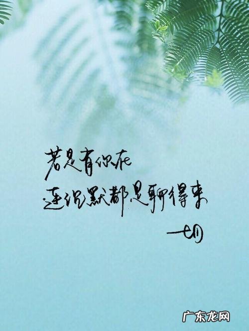 让对方看到暖心的视频 【抖音文案】让对方看到暖心的爱情句子