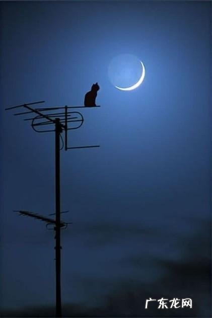 用落叶形容心情不好的句子 【抖音文案】形容心情不好的句子简短