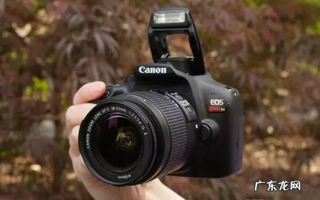 数码相机怎么拍照好看(数码相机拍摄技巧大全)