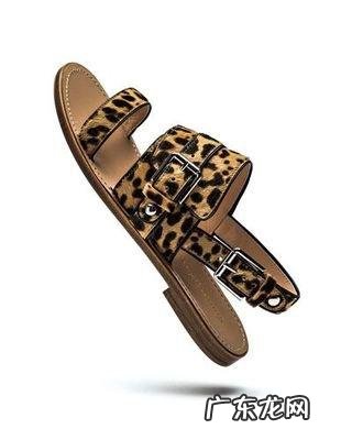 有哪些知名的女鞋品牌(世界十大奢侈女鞋品牌排行榜)