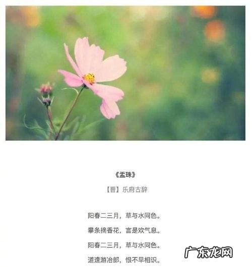 形容心情好的优美成语 【抖音文案】形容心情好的优美句段