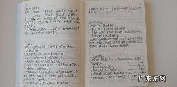 有关感动的好词好句好段 【抖音文案】有关感动的好词好句