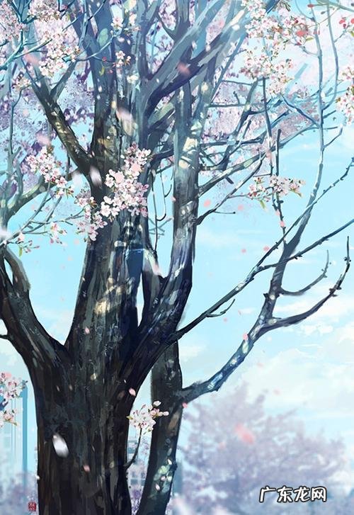 表达对闺蜜的友谊长存 【抖音文案】表达闺蜜友谊长存的古风唯美句子