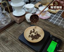 正确冲泡咖啡的5种方法 研磨咖啡粉怎么冲泡