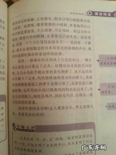 写景的句子摘抄唯美的句子 【抖音文案】写景的句子摘抄10字