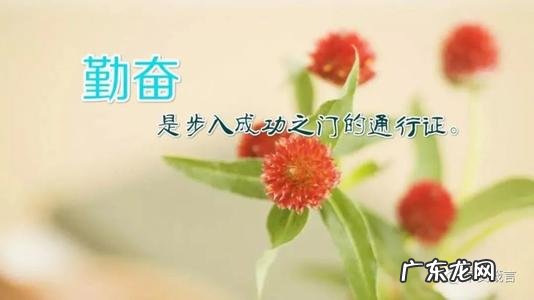 励志名句致自己初中 【抖音文案】励志名句致自己