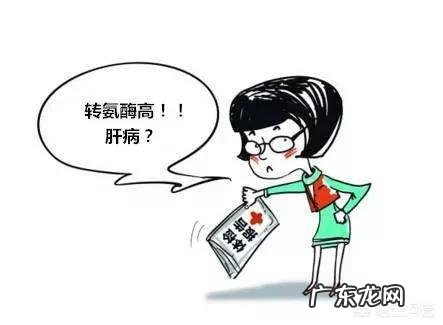 转氨酶一直偏高不降怎么办?