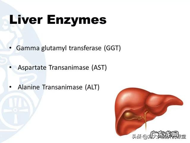转氨酶一直偏高不降怎么办?
