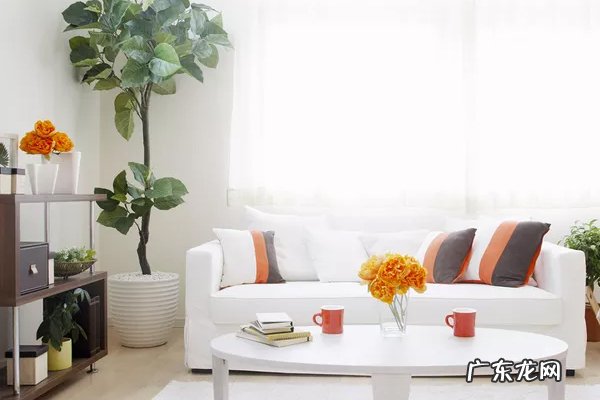 淘宝开店证明在哪里找？开店怎么上货？