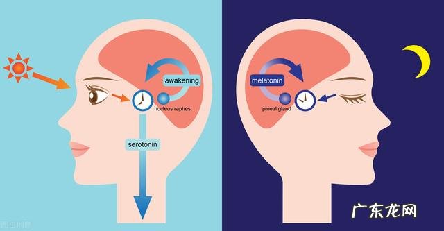 稳定情绪平复心情药 什么药可以平复心情治失眠