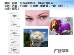 描写女孩的眼睛的优美语句 【抖音文案】描写眼睛的经典语句