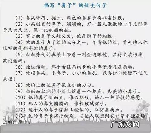 优美的句子段落摘抄大全 【抖音文案】优美的句子段落摘抄