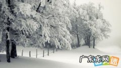 描写动物的句子短句 【抖音文案】描写冬月的句子短句