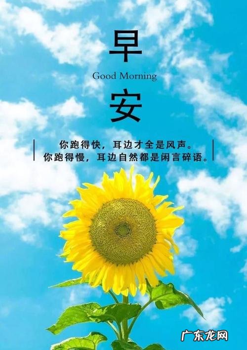 好心情的句子发朋友圈短句 【抖音文案】适合发好心情的句子短句