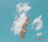 好心情的句子发朋友圈短句 【抖音文案】适合发好心情的句子短句