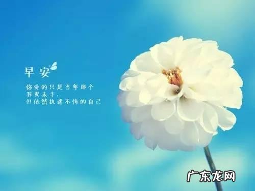 生活阳光正能量的句子图片 【抖音文案】生活阳光正能量的句子