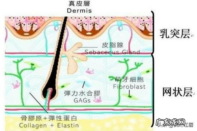 清理皮肤用洗面奶和卸妆水，还需要用别的吗