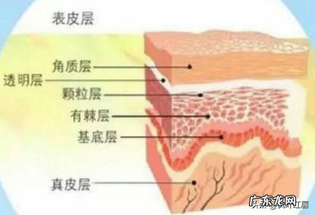 清理皮肤用洗面奶和卸妆水，还需要用别的吗