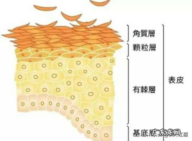 清理皮肤用洗面奶和卸妆水，还需要用别的吗
