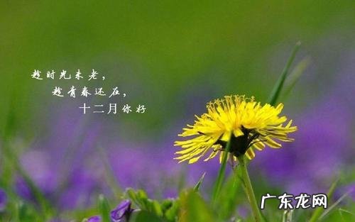 2个好句子 【抖音文案】11月好句子