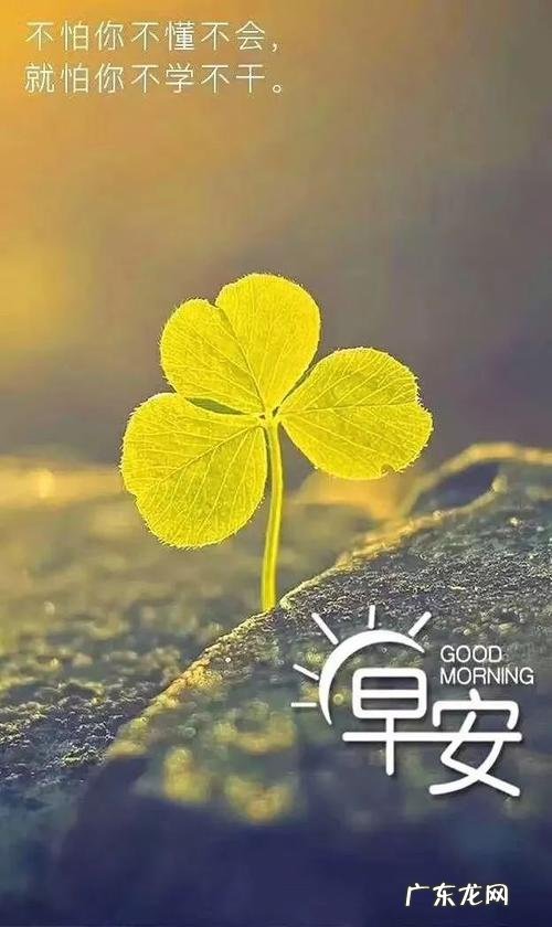 2个好句子 【抖音文案】11月好句子