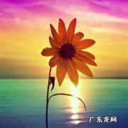 描写对生活充满希望的句子 【抖音文案】鼓励人对生活充满希望的句子