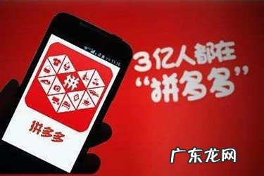 编号查询步骤详解 拼多多店铺编号怎么查