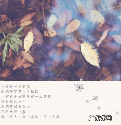 简短走心的情感句子 父亲 【抖音文案】简短走心的情感句子