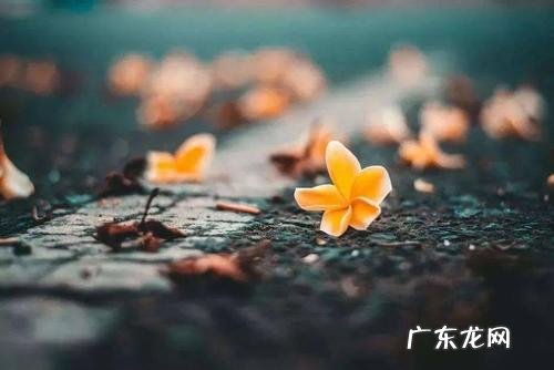 用风景比喻人生的句子 【抖音文案】风景比喻人生的句子