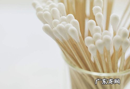 柯基耳螨不给碰该怎么办,柯基耳螨不给清除该怎么办