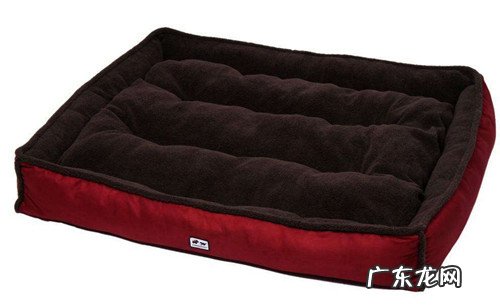 罗威纳犬感冒要打针吗,罗威纳犬感冒打针快好么