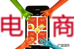 京东旗舰店跟专卖店的区别是什么？选择哪个好？