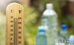 “知了声声叫着夏季”，又是一年夏季到，狗狗们应当怎样度暑？