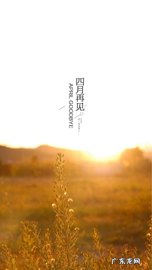 烟花转瞬即逝的唯美句子 【抖音文案】描写时间转瞬即逝的句子