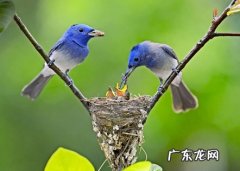 2021抖音最火短句个性签名 【抖音文案】2021抖音最火短句