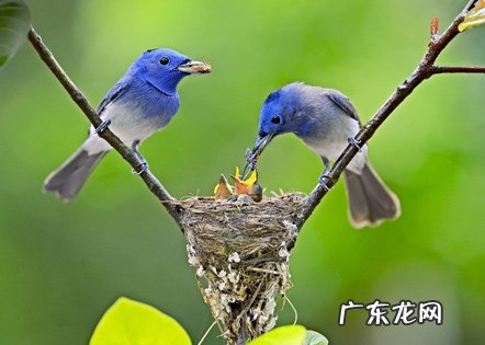 2021抖音最火短句个性签名 【抖音文案】2021抖音最火短句