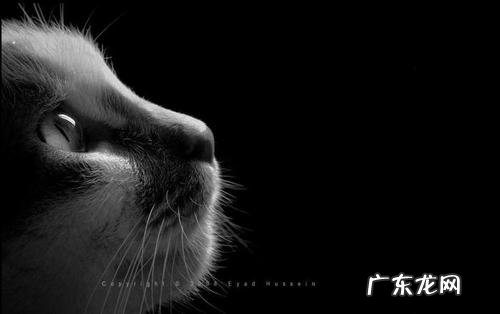 描写眼眸深邃的句子 【抖音文案】关于眼眸深邃的描写