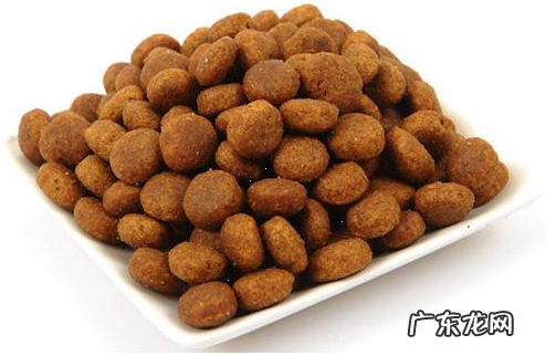 柯基拉稀忌食一晚,柯基拉稀停食有什么用