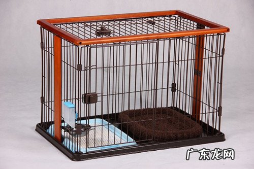 【养宠物心得分享】柯基耳朵里面为何那麼臭是否有耳螨了